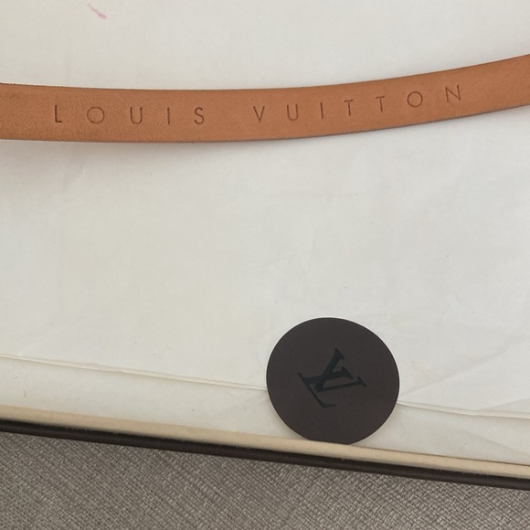 Louis Vuitton Florentine Belt Bag - Picture 9 of 15